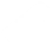 Anasayfa