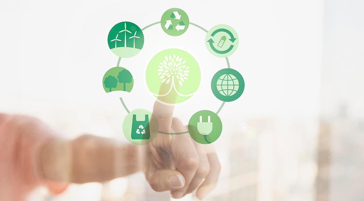 Anasayfa